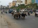 Straßenszene in Chau Doc